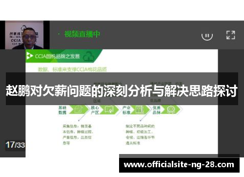 赵鹏对欠薪问题的深刻分析与解决思路探讨