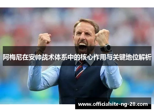 阿梅尼在安帅战术体系中的核心作用与关键地位解析