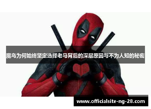 魔鸟为何始终坚定选择老马背后的深层原因与不为人知的秘密