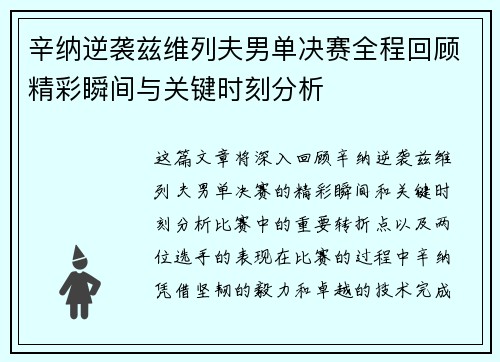 辛纳逆袭兹维列夫男单决赛全程回顾精彩瞬间与关键时刻分析
