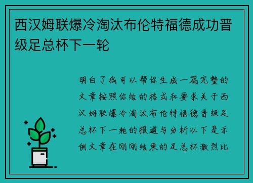 西汉姆联爆冷淘汰布伦特福德成功晋级足总杯下一轮
